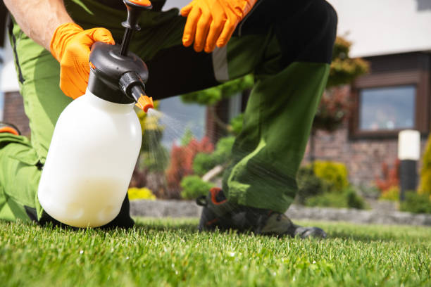 Best Cockroach Control Services  in La Feria, TX