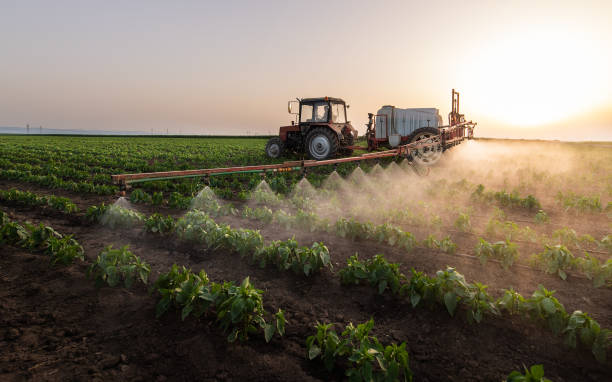Best Wildlife Control Services  in La Feria, TX