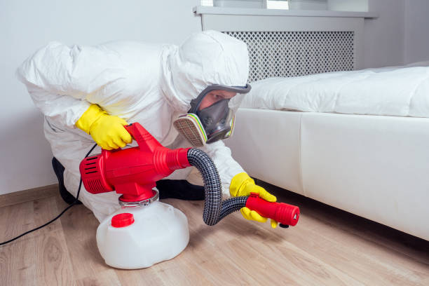 Best Best Pest Control Companies  in La Feria, TX