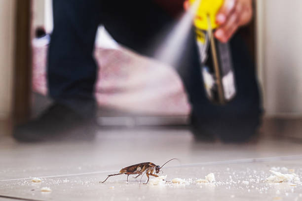 Best Residential Pest Control  in La Feria, TX