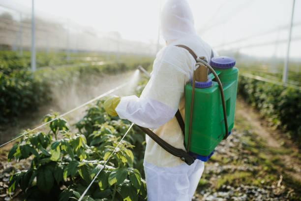 Best Ant Control Services  in La Feria, TX